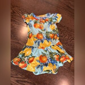 Posh Peanut orange grove dress onesie